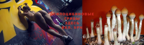 спайс Нягань