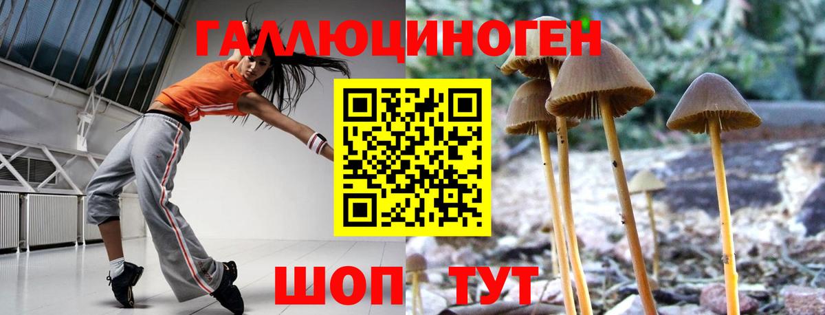Галлюциногенные грибы ЛСД  Тара  Псилоцибиновые грибы ЛСД 