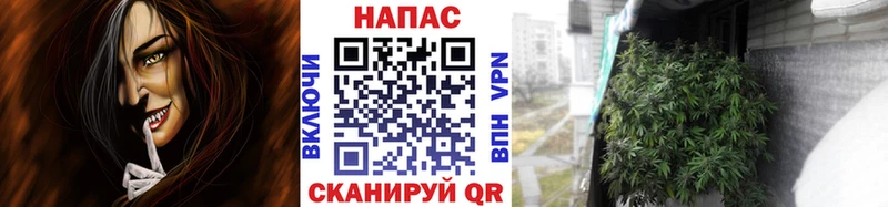 МАРИХУАНА OG Kush Тара